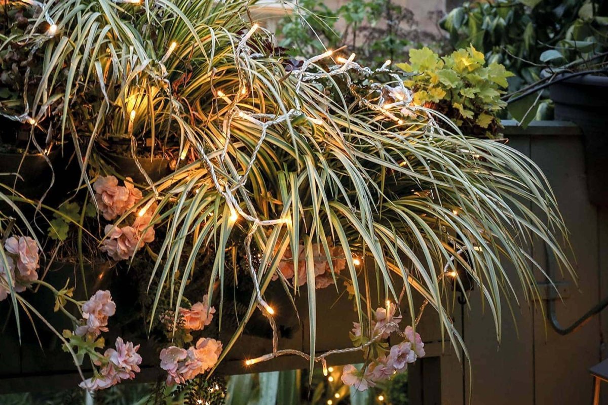 Kerstverlichting LED · Soft gold · Zwart snoer · 180 lampjes · Dimbaar - Afbeelding 8