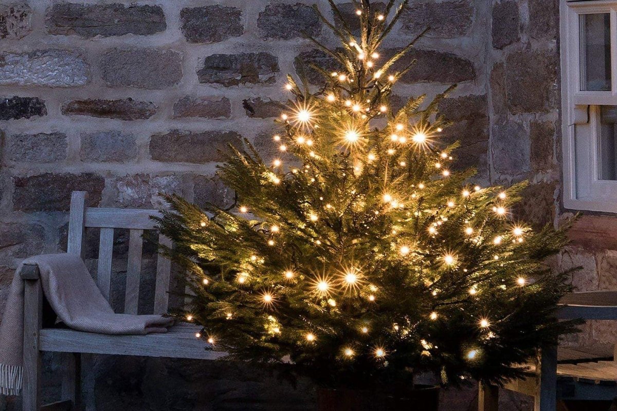Compact kerstverlichting LED · Klassiek warm wit · Groen snoer · 750 lampjes · Dimbaar - Afbeelding 7